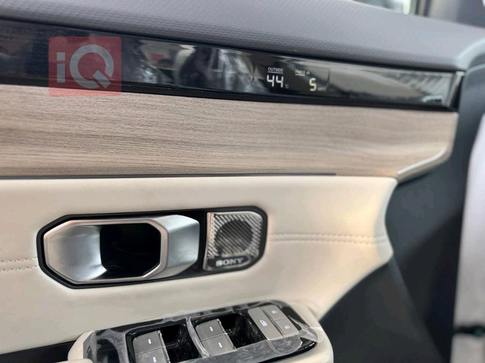 جیتۆر داشينگ